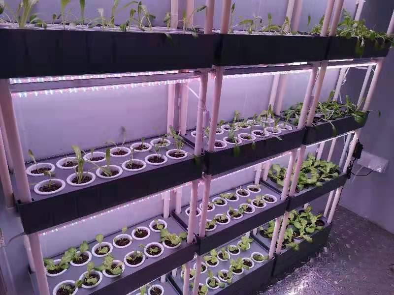 1685697809160039.jpg 1ea894987feb5b6ec2b49b56eee8efb0_1683884297112271.jpg